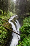 03-09-2015 Sol Duc Falls Trail