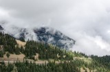 03-09-2015 Hurricane Ridge Olympic NP