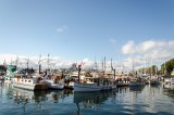 06-09-2015 - Boot Show Victoria