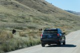 11-09-2015 - National Bison Range