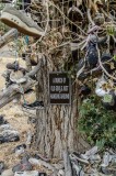 14-09-2015 - The shoe tree