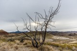 14-09-2015 - John Day Fossil Bend - The Painted Hills