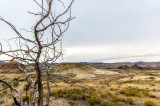 14-09-2015 - John Day Fossil Bend - The Painted Hills