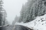 16-09-2015 on a way in Crater Lake NP