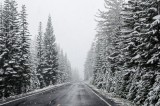 16-09-2015 on a way in Crater Lake NP
