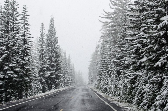 16-09-2015 on a way in Crater Lake NP