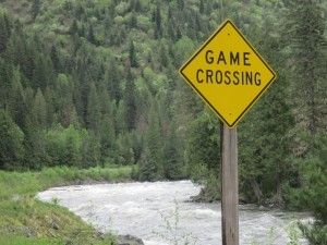 Game Xing
