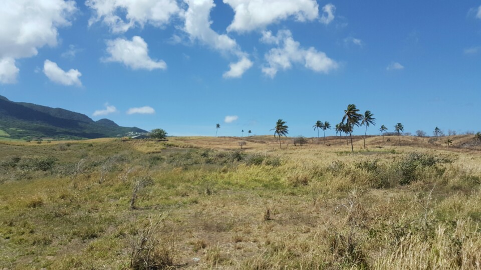 St. Kitts
