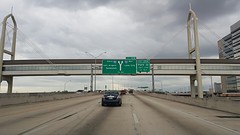 On a way to Savannah