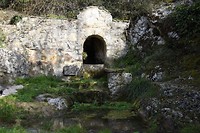 Wandeling