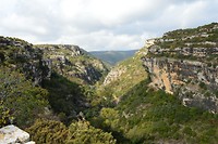 Minerve