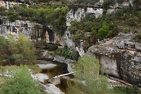 Minerve
