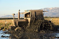 Deltawerker
