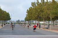 Ochtendgymnastiek 65+