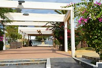 Gibraleon