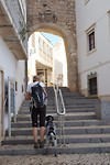 Tavira