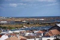 Tavira