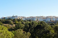 Salema