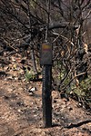 Wandelroute bord