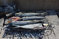 Vis op de grill