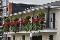 New Orleans