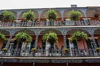 New Orleans