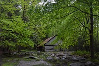 Smokey Mountains