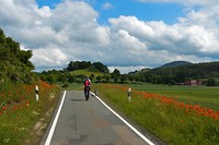 Wandeling