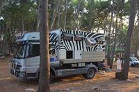 Eigen gebouwde camper met Daktari print