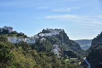 Casares