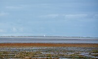 Schiermonnikoog