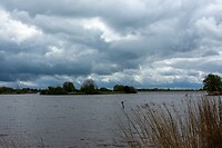 Rondje Hondhalstermeer met hond