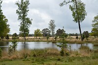 Nationaal park Drents-Friese Wold