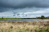 Nationaal park Drents-Friese Wold