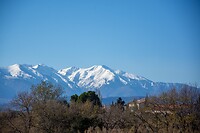 Pyreneeën