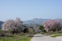 Wandelen in de buurt van Ronda