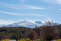Sierra Nevada