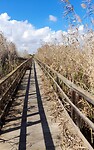 De weg naar de zee