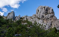 Gvozd
