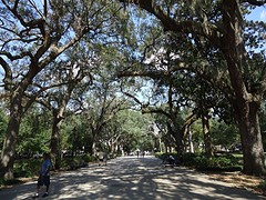 Forsyth Park