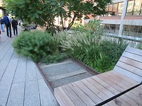 High Line Park