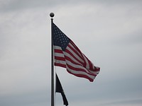 Vlag