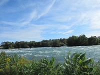 Natuur