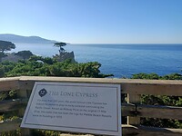 Lone Cypress