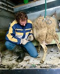 IMG_0450