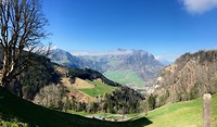 IMG_0476