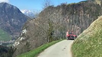 Heidi und Peter holen Holz