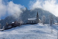 IMG_2130