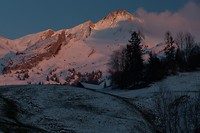 IMG_2201
