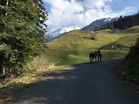 IMG_0714
